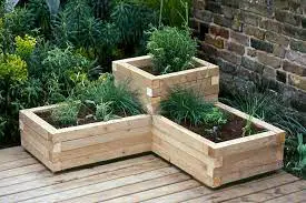 Best Wood for Planter Box Image