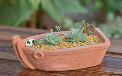 Mr. Garden Small Ceramic Boat Planter Image
