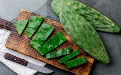 Is Cactus Healthy to Eat?