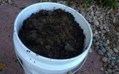 How Much Soil For a 5 Gallon Pot?